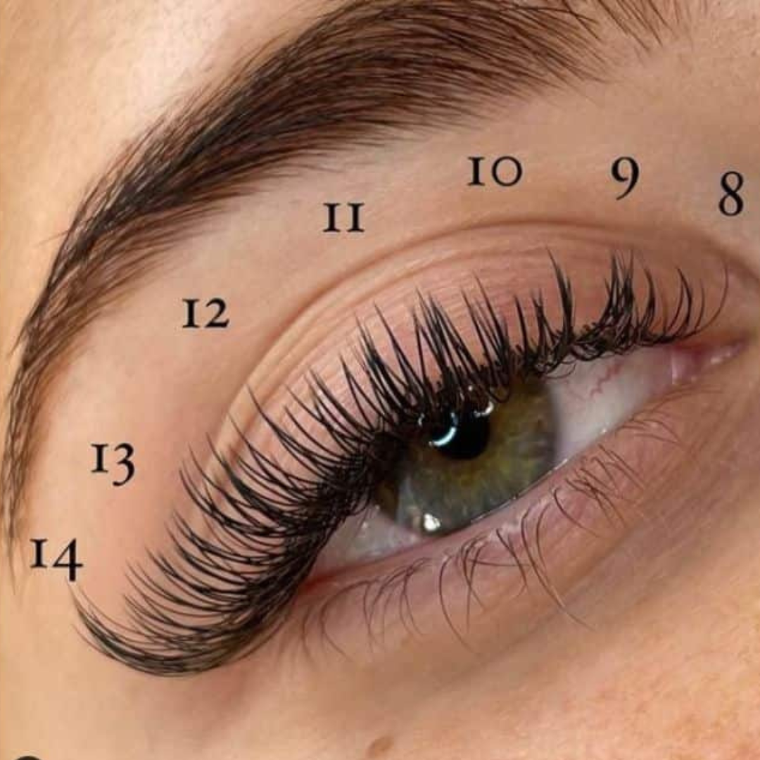 What Length Of Eyelash Extension Should I Get Lashbrow Artist